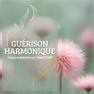 Rayonnement intérieur