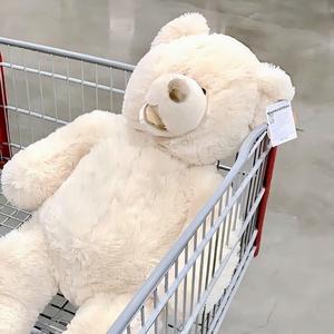 都市丽人生存报告