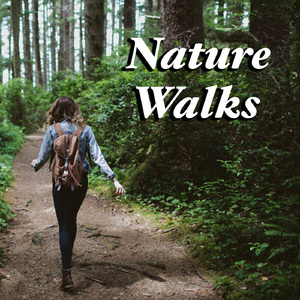 Sinfonia Concertante in E flat major, KV. 364: II