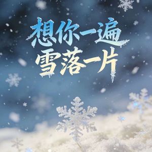 想你一遍雪落一片