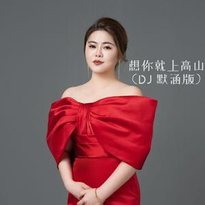 想你上高山（DJ默涵版）