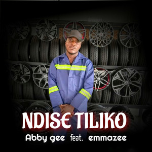 NDISE TILIKO
