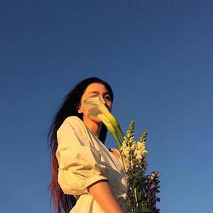 天下乌鸦一般黑