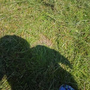 Angst im Takt