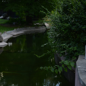 Lay Back (Sea Sound)