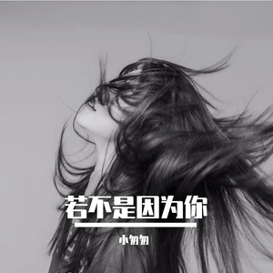 若不是因为你（完整女版）