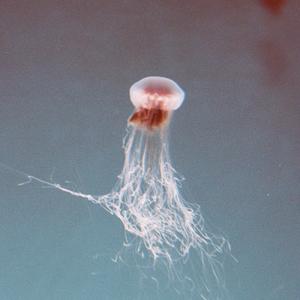 Love Strung (feat. Zypher)