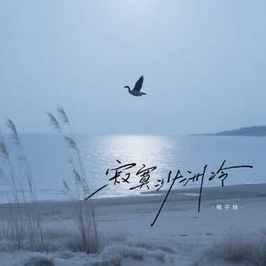 寂寞沙洲冷 (伴奏)