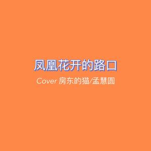 凤凰花开的路口