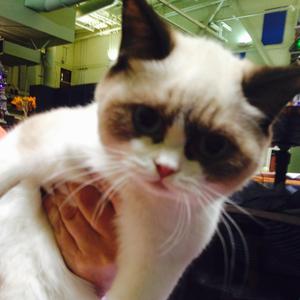 Set Fire to the Third Bar (feat. A.D.A.M. & Odame)