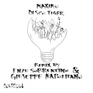 Disco Tiger (Enzo Sorrentino & Giuseppe Napolitano Remix)
