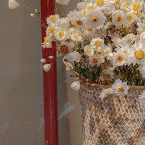 平凡的一天(陈珏版)