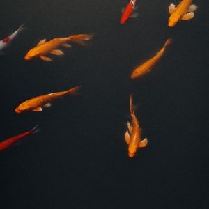 格式转换_银河与星斗