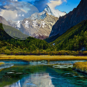 青青草原