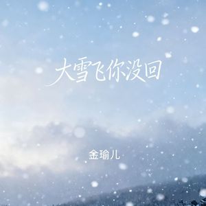 大雪飞你没回