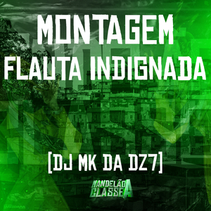 Montagem - Flauta Indignada