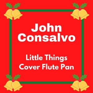 Little Things Cover Flute Pan