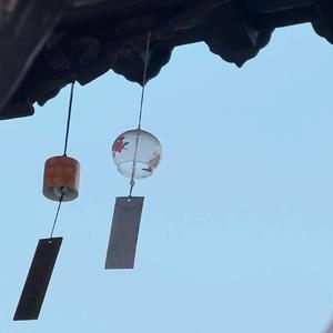 《卿卿日常》片头曲填词版