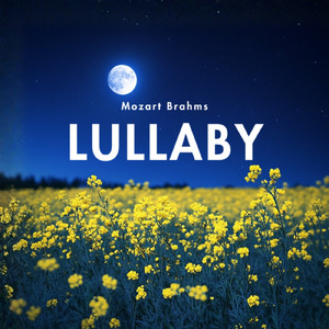 疲れを癒やす風のささやき (川)