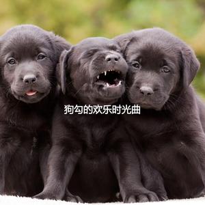 Joyful Morning Things