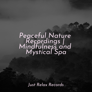 Silent Seraph's Soar