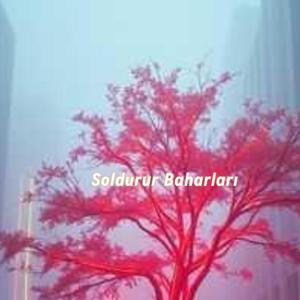 Soldurur Baharları