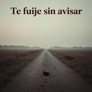 Ya me viste