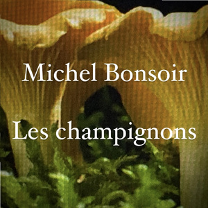 Les Champignons