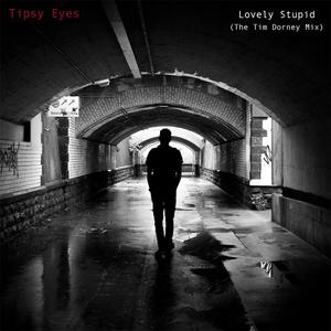 Lovely Stupid (Tim Dorney Mix)