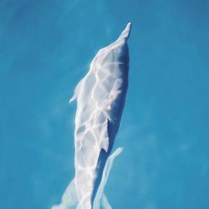 私（Prod.LRUI17）