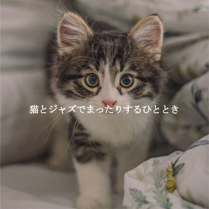 Acoustic and Electric Bossa Nova Piano Duo Soundtrack for Cat Friendly Puppy