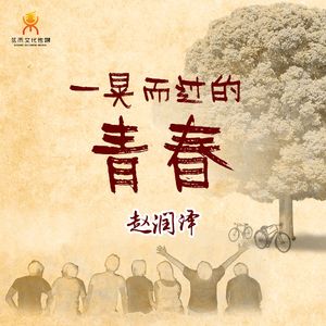 一晃而过的青春(伴奏)