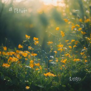 星月骑行