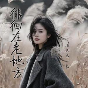徘徊在老地方