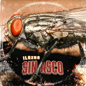 Sin Asco