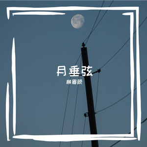 网易云十号选手