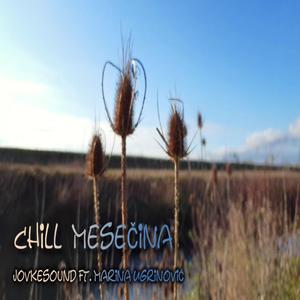 Chill mesecina (feat. Marina Ugrinovic)