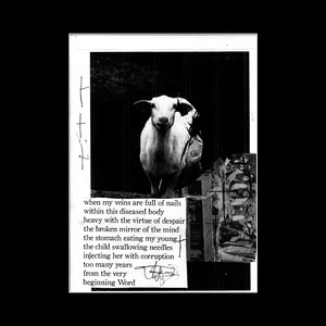part three - the hind violated by needles