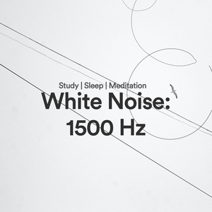 Noise 1.5 kHz