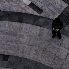 蝼蚁