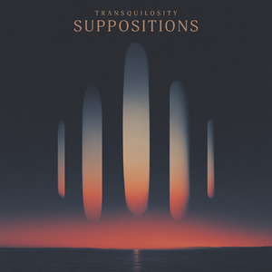 Suppositions