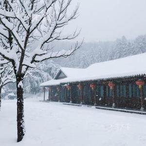冬雪又落（Cover 韩小欠）