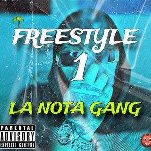 Freestyle 1