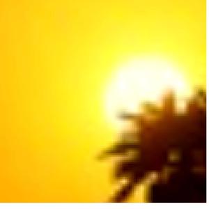 聖誕節期間的真誠情感