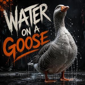 Water on a goose v2