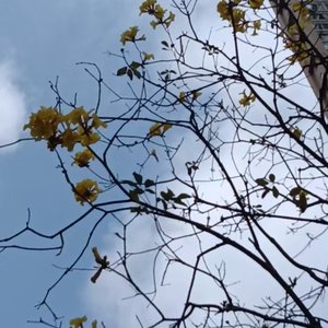 快乐是旧伤口开出新宇宙