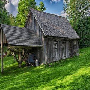 蒲公英撑开透明伞