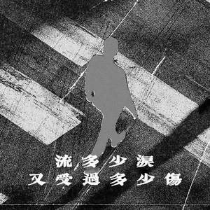 流多少泪又受过多少伤