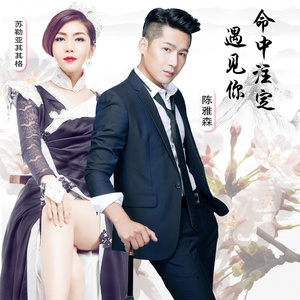 命中注定遇见你