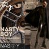 Triz - Nasty (boymix) (Tosh-Mahal Mix Remix)